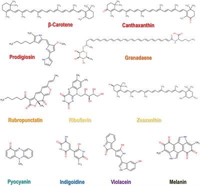 Agro-Industrial Residues: Eco-Friendly and Inexpensive Substrates for Microbial Pigments Production